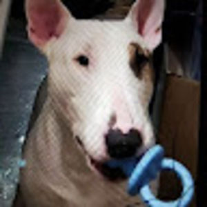 Meet your Posher, Leonora